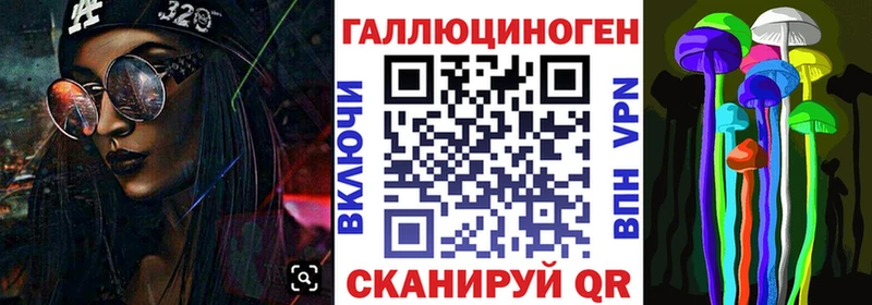 Псилоцибиновые грибы Psilocybine cubensis  kraken как зайти  Гдов 